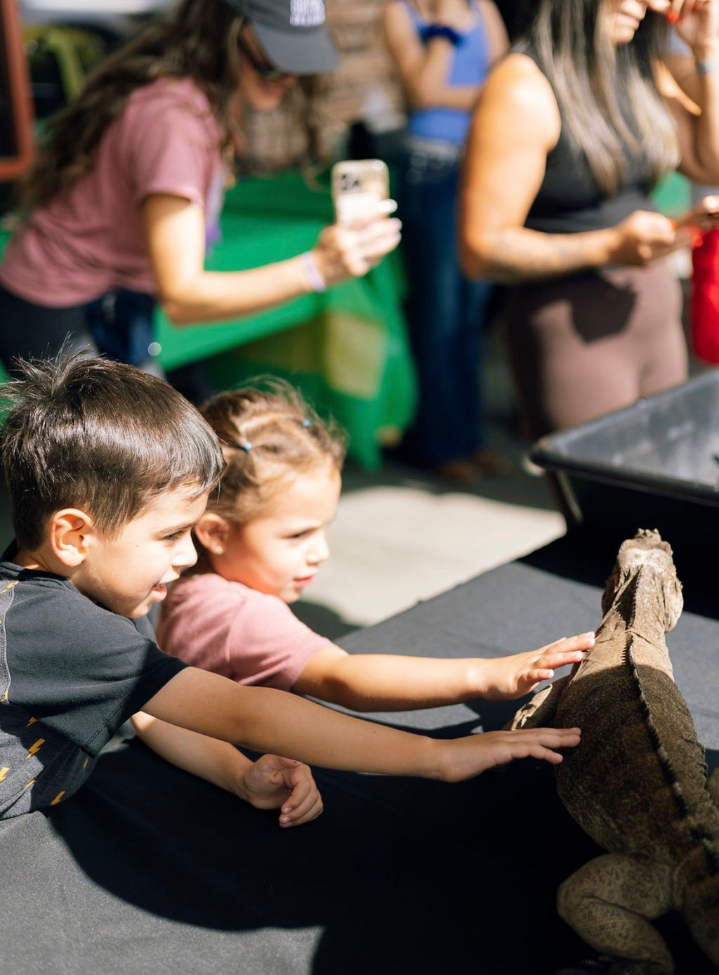 September Reptile Run